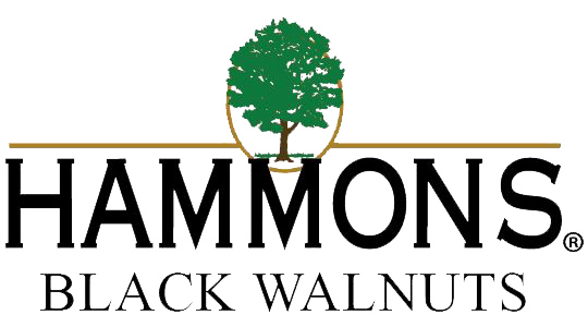 Hammons Black Walnuts