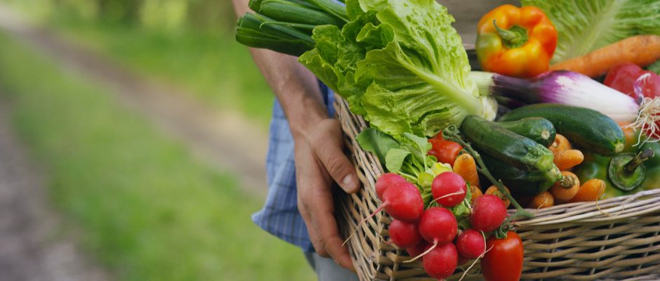 9 Tips for Using Garden Produce to Bake with Your Kids this Fall!
